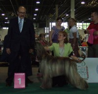 /album/fenykepgaleria/a922704-608521685827637-983497969-n-jpg/