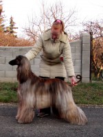 /album/fenykepgaleria/a1545817-599461330147306-580158220-n-jpg/